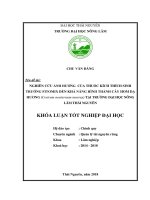 Luận văn nghiên cứu ảnh hưởng của thuốc kích thích sinh trưởng fitomix đến khả năng hình thành cây hom dạ hương (cestrum noeturnum murray) tại trường đại học nông lâm thái nguyên