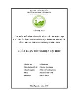 Luận văn tìm hiểu mô hình tổ chức sản xuất trang trại cà tím của ông ezra ravins tại kibbutz yotvata vùng arava, israel giai đoạn 2018   2019