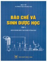 Bào chế và Sinh dược học (Tập 1 - 2007) - ĐH Y Dược TP. HCM