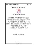 Luận án Tiến sĩ Nghiên cứu tác dụng của từ trường nhân tạo đối với cải thiện tuần hoàn não và phục hồi chức năng thần kinh ở bệnh nhân tai biến nhồi máu não bán cầu