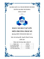 Báo cáo bài tập lớn môn phương pháp số đề tài phân tích dầm chịu lực