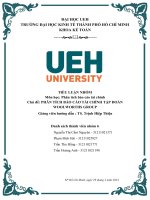 Tiểu luận nhóm môn học phân tích báo cáo tài chính chủ đề phân tích báo cáo tài chính tập đoàn woolworths group 1