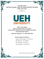 Tiểu luận nhóm môn học phân tích báo cáo tài chính chủ đề phân tích báo cáo tài chính tập đoàn woolworths group 1