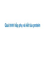 Bài giảng Kỹ thuật thu hồi và hoàn thiện sản phẩm: Chương 8 - Quá trình hấp phụ và kết tủa protein