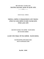 Luanvanthacsy phongchongviphamphapluatbaohiemxahoi