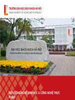 Bài giảng Kỹ thuật nuôi cấy virus: Chương 1 - Tổng quan về virus