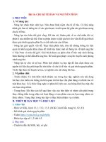 Giáo án bài 16  sinh 10  cánh diều