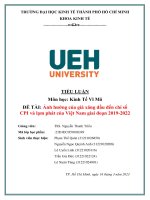 TIỂU LUẬN môn học kinh tế vĩ mô đề tài ảnh hưởng của giá xăng dầu đến chỉ số CPI và lạm phát của việt nam giai đoạn 2019 2022 