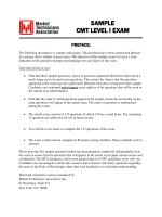 cmt1 sample a1 