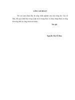 Luận án tiến sĩ ngôn ngữ học đối chiếu từ ngữ nối biểu thị ý nghĩa “kết quả”, “tổng kết” tiếng việt và tiếng anh (trên cơ sở các văn bản khoa học xã hội 