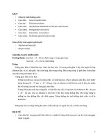 Ký sinh trùng giun