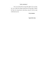 luận án tiến sĩ ngôn ngữ học đối chiếu thuật ngữ báo chí anh   việt và chuyển dịch thuật ngữ báo chí tiếng anh sang tiếng việt 