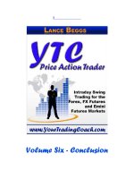 YTC Price Action Trader vol 6