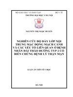 Luận án tiến sĩ nghiên cứu độ dày lớp nội trung mạc động mạch cảnh và các yếu tố liên quan ở bệnh nhân đái tháo đường typ 2 có biến chứng bệnh lý thận mạn 