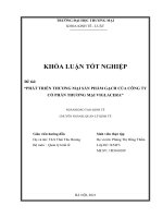 (Khóa luận tốt nghiệp) Phát triển thương mại sản phẩm gạch của Công ty CPTM Viglacera