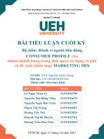Consumer profile và marketing mix1