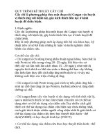 QUY TRÌNH kĩ THUẬT cấy CHỈ