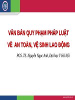 Đại học y hà nội  văn bản quy phạm pháp luật