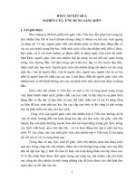 SKKN Giáo dục học sinh Tiểu học qua công tác chủ nhiệm lớp