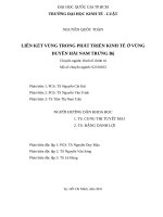 Liên kết vùng trong phát triển kinh tế ở vùng duyên hải nam trung bộ 