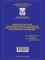 (Đồ án HCMUTE) nghiên cứu chế tạo sợi polycaprolactone (PLC) cấu trúc xốp bằng phương pháp electrospinning ứng dụng trong máy phát điện nano 