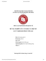 TIỂU LUẬN KINH DOANH QUỐC tế đề tài NGHIÊN cứu văn HOÁ và một số lưu ý KHI đàm PHÁN với lào 