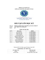 Bài thảo luận môn những quy định chung về luật dân sự, tài sản và thừa