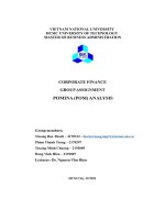 Corporate finance groupassignment pomina (pom) analysis
