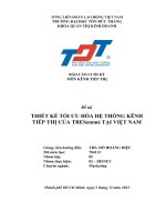 (Tiểu luận) đề tài thiết kế tối ưu hóa hệ thống kênh tiếp thị của tresemmé tại việt nam 1