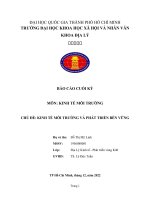 (Tiểu luận) báo cáo cuối kỳ môn kinh tế môi trường chủ đề kinh tế môi trường và phát triển bền vững