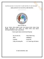 (Tiểu luận) đề tài phân tích chiến lược sản phẩm nước uống tinh khiết aquafina của công ty tnhh nước giải khát suntory pepsico việt nam (spvb)