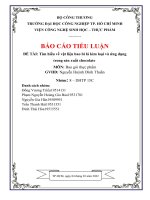 (Tiểu luận) báo cáo tiểu luận đề tài tìm hiểu về vật liệu bao bì lá kim loại và ứng dụng trong sản xuất chocolate