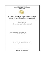 (Tiểu luận) báo cáo thực tập tốt nghiệp ngành kỹ thuật điều khiển và tự động hoá thực tập tại công ty điện lực thừa thiên huế