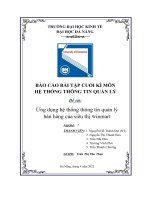 (Tiểu luận) đề tài  ứng dụng hệ thống thông tin quản lý bán hàng của siêu thị winmart