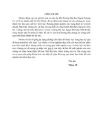 (Tiểu luận) đề tài  ảnh hưởng của chính sách khuyến mãi đến hành vi mua sắm của người tiêu dùng trẻ ở tp hcm