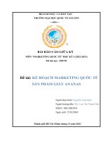 (Tiểu luận) môn marketing quốc tế đề tài kế hoạch marketing quốc tế sản phẩm giày ananas
