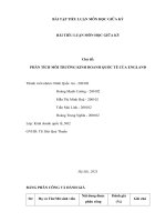 (Tiểu luận) chủ đề phân tích môi trường kinh doanh quốc tế của england