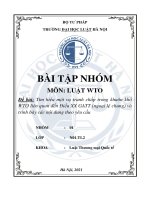 (Tiểu luận) đề bài tìm hiểu một vụ tranh chấp trong khuôn khổ wto liên quan đến điều xx gatt (ngoại lệ chung) và trình bày các nội dung theo yêu cầu