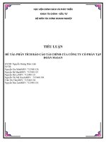 (Tiểu luận) tiểu luận đề tài phân tích báo cáo tài chính của công ty cổ phần tập đoàn masan