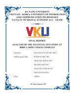 (Tiểu luận) final report analysis of the financial situation at bibica joint stock company