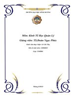 (Tiểu luận) đề tài sử dụng lý thuyết cầu để phân tích thị trường và dự báo và ước lượng cầu cho ngành hàng tiêu dùng