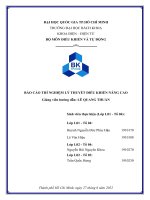 (Tiểu luận) báo cáo thí nghiệm lý thuyết điều khiển nâng cao  báo cáo bài thí nghiệm 2 điều khiển hệ quạt và tấm phẳng