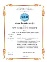 (Tiểu luận) tiểu luận đề tài phân tích báo cáo tài chính đơn vị  công ty cổ phần thế giới di động (mwg)