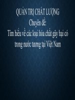 Tiểu Luận - Quản Trị Chất Lượng - Đề Tài - Tìm Hiểu Về Các Loại Hóa Chất Gây Hại Có Trong Nước Tương Tại Việt Nam