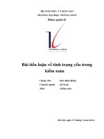 Bài Tiểu Luận Kế Toán Đề Tài Tổng Quan Về Trọng Yếu Trong Kiểm Toán Báo Cáo Tài Chính (1).Pdf