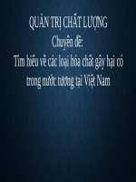 Tiểu Luận - Quản Trị Chất Lượng - Đề Tài - Tìm Hiểu Về Các Loại Hóa Chất Gây Hại Có Trong Nước Tương Tại Việt Nam