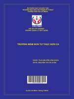 Trường mầm non tư thục sơn ca đồ án tốt nghiệp ngành quản lý xây dựng