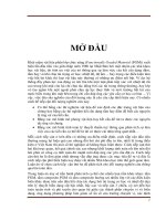 Luận án Tiến sĩ Nghiên cứu ứng xử tấm composite chức năng (FGM) dưới tác dụng tải cơ nhiệt
