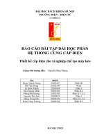 BÁO CÁO BÀI TẬP DÀI HỌC PHẦN HỆ THỐNG CUNG CẤP ĐIỆN  Thiết kế cấp điện cho xí nghiệp chế tạo máy kéo