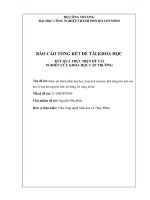 Khảo sát thành phần hoá học, hoạt tính enzyme, khả năng tiêu hoá cùa ba (3) loại hạt nguyên liệu kê trắng, kê vàng, kê đỏ báo cáo tổng kết đề tài nghiên cứu khoa học cấp trường